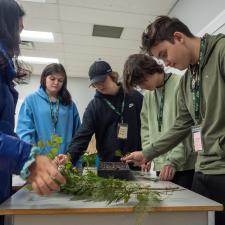 Small group of students around a table looking at cedar 